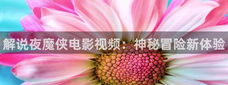 茄子视频一