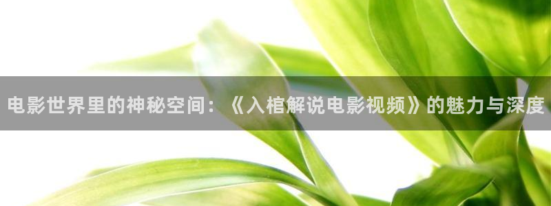 茄子视频a