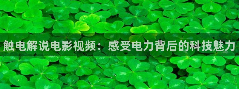 茄子视频www