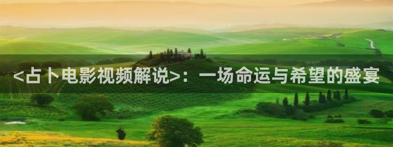 茄子视频www：<占卜电影视频解说>：一场命运与希望的盛宴