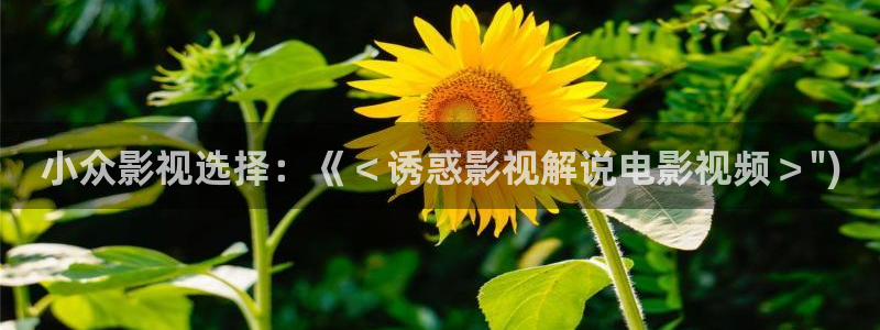 91茄子视频：小众影视选择：《＜诱惑影视解说电影视频＞\