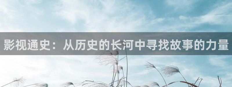 茄子视频色版