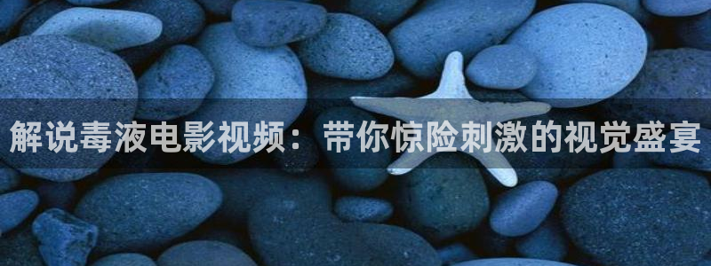 茄子视频www：解说毒液电影视频：带你惊险刺激的视觉盛宴