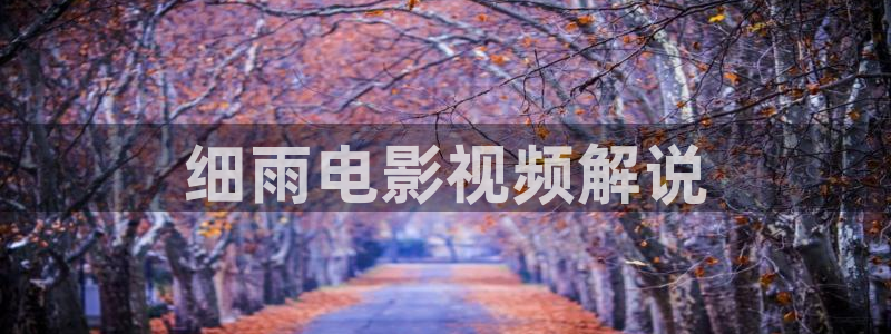 小优视频茄子视频：细雨电影视频解说