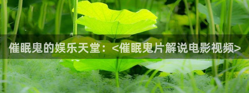 茄子视频一：催眠鬼的娱乐天堂：<催眠鬼片解说电影视频>