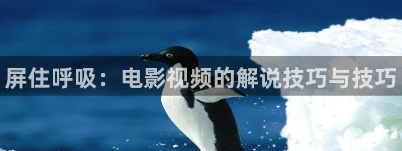 茄子视频：屏住呼吸：电影视频的解说技巧与技巧