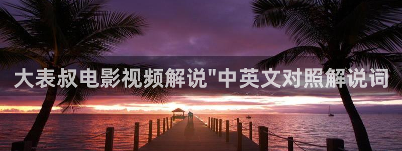 茄子视频 magnet：大表叔电影视频解说\
