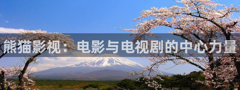 茄子视频18：熊猫影视：电影与电视剧的中心力量