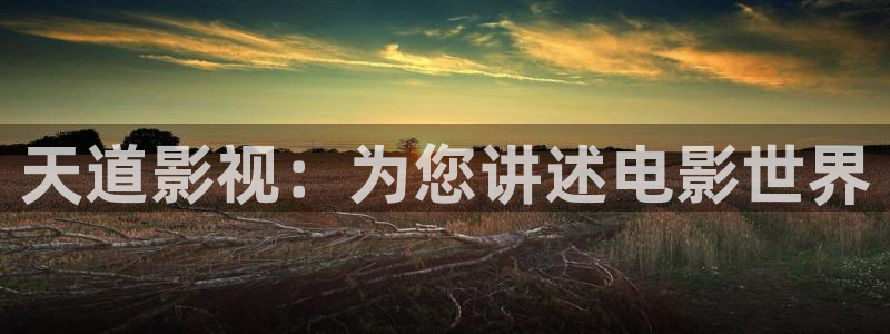 茄子视频：天道影视：为您讲述电影世界