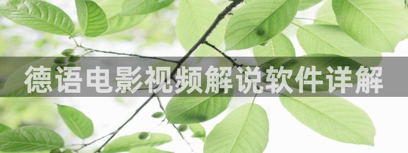 茄子视频：德语电影视频解说软件详解