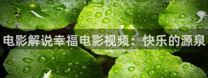 茄子视频www：电影解说幸福电影视频：快乐的源泉