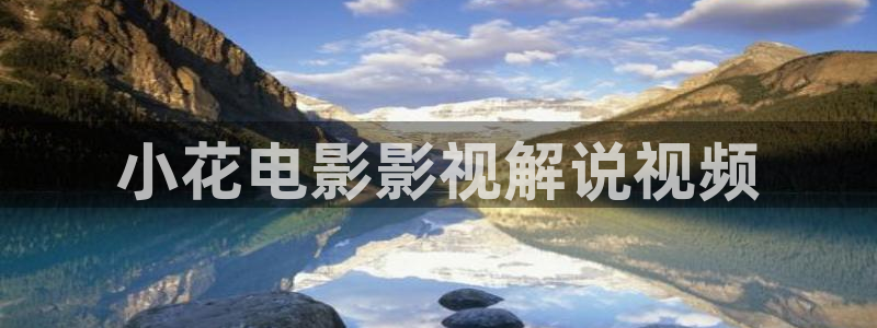 qiezi 茄子视频：小花电影影视解说视频
