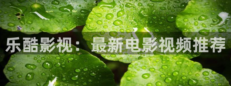 茄子视频色版：乐酷影视：最新电影视频推荐
