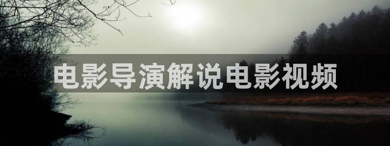 茄子视频：电影导演解说电影视频
