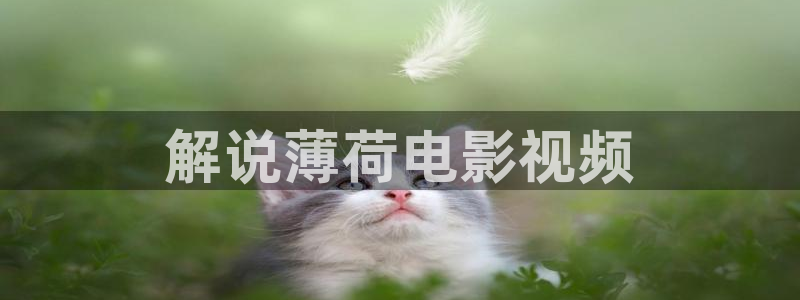 qiezi茄子视频：解说薄荷电影视频