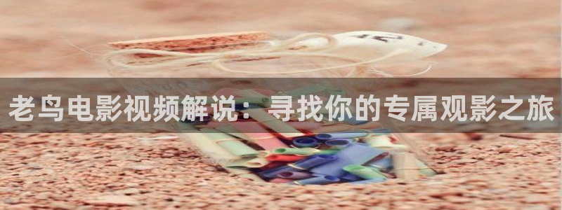 茄子视频 magnet：老鸟电影视频解说：寻找你的专属观影之旅