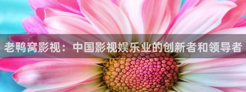 樱桃茄子视频：老鸭窝影视：中国影视娱乐业的创新者和领导者