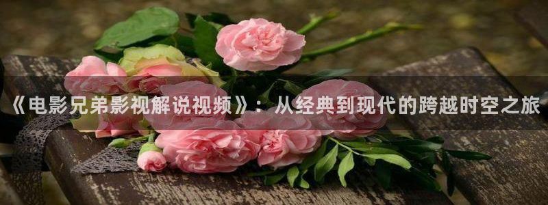 茄子视频了