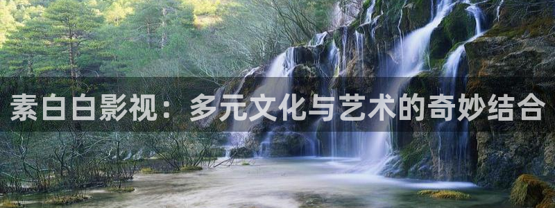 qiezi 茄子视频：素白白影视：多元文化与艺术的奇妙结合