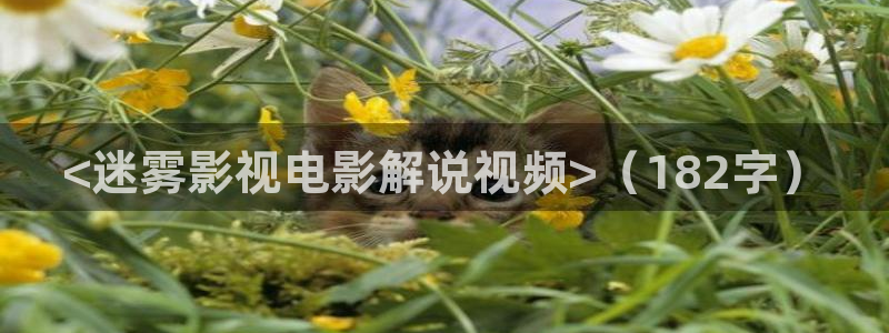 茄子视频：<迷雾影视电影解说视频>（182字）