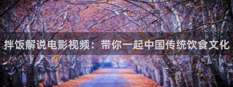 茄子视频了：拌饭解说电影视频：带你一起中国传统饮食文化