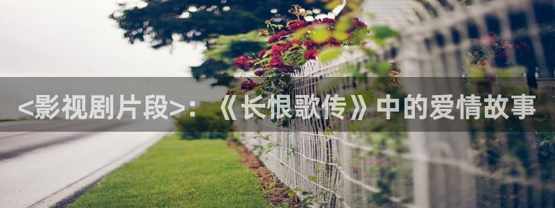 大茄子视频：<影视剧片段>：《长恨歌传》中的爱情故事