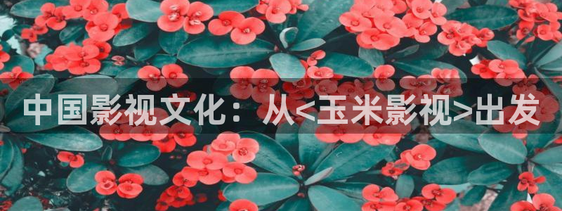 茄子视频了：中国影视文化：从<玉米影视>出发