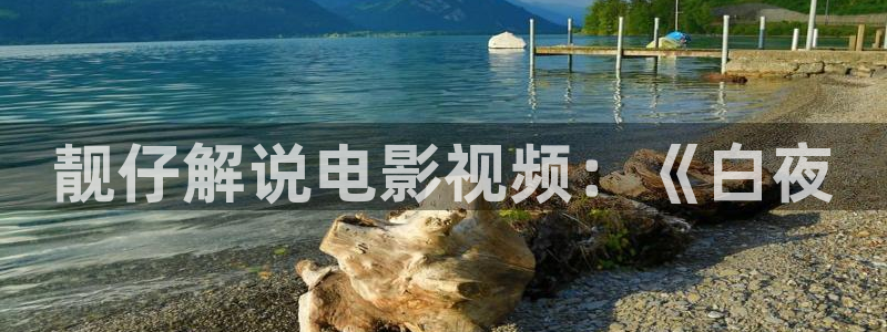 茄子视频视频：靓仔解说电影视频：《白夜
