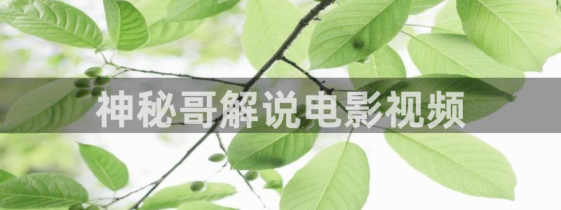 小优视频茄子视频：神秘哥解说电影视频