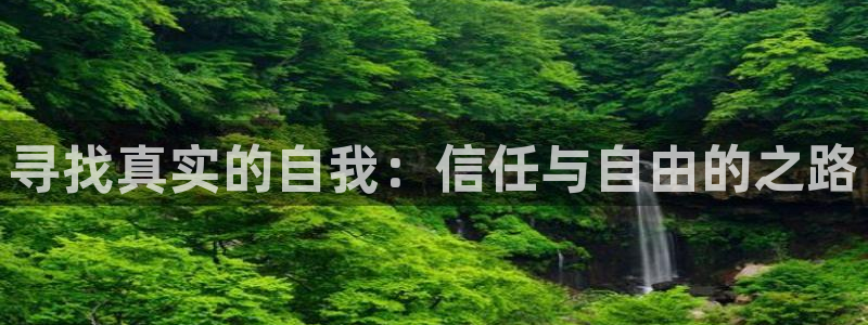 茄子视频了