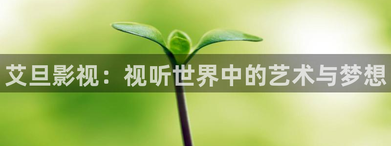 qiezi茄子视频