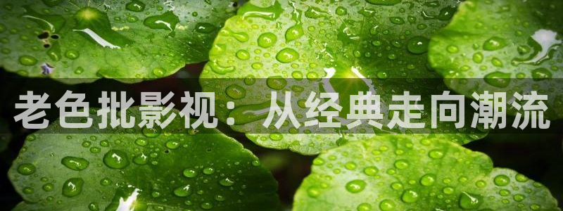 茄子视频了