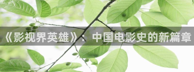 茄子视频了