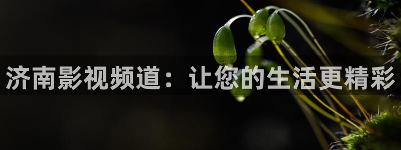 茄子视频