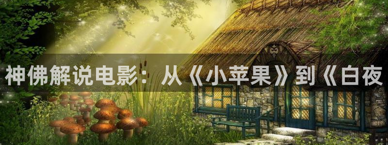 91茄子视频
