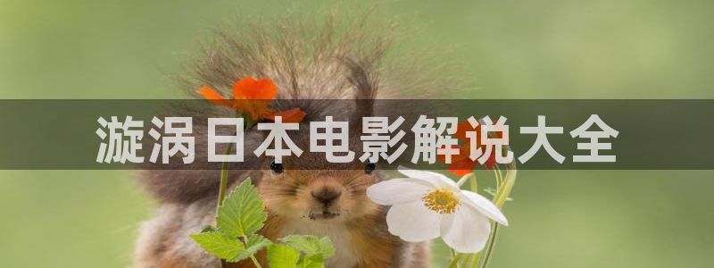 茄子视频了