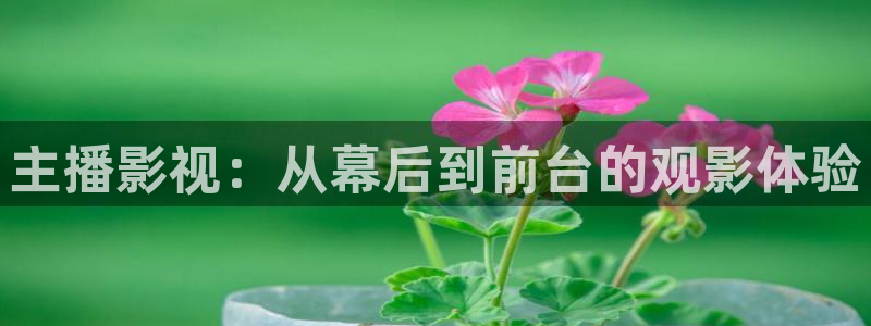 茄子视频18