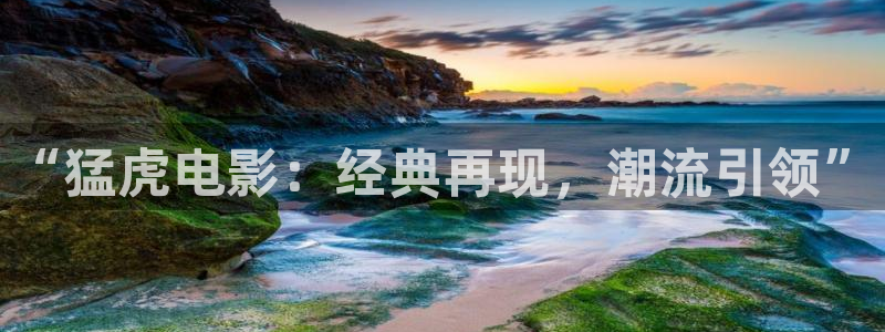 樱花视频茄子视频