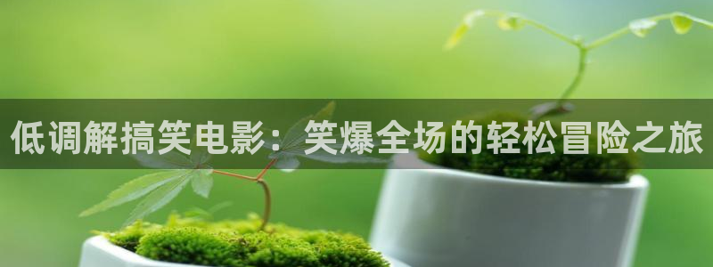 大茄子视频