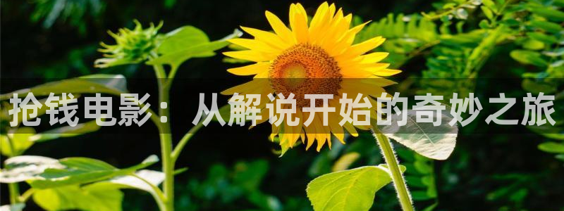 茄子视频18