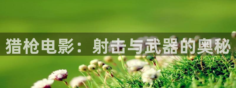 大茄子视频