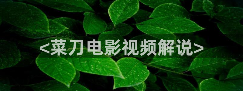 四虎茄子视频