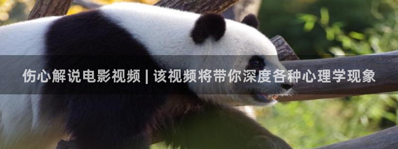 樱桃茄子视频：伤心解说电影视频 | 该视频将带你深度各种心理学现象