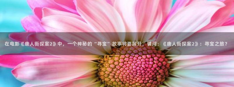 茄子视频一：在电影《唐人街探案2》中，一个神秘的“寻宝”故事将要展开，请问：《唐人街探案2》：寻宝之旅？