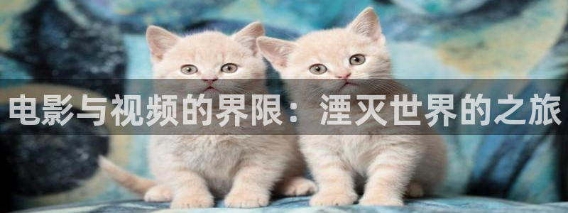 qiezi茄子视频：电影与视频的界限：湮灭世界的之旅