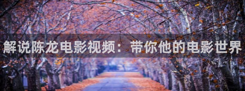 茄子视频视频