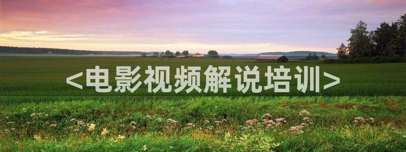 樱桃茄子视频：<电影视频解说培训>