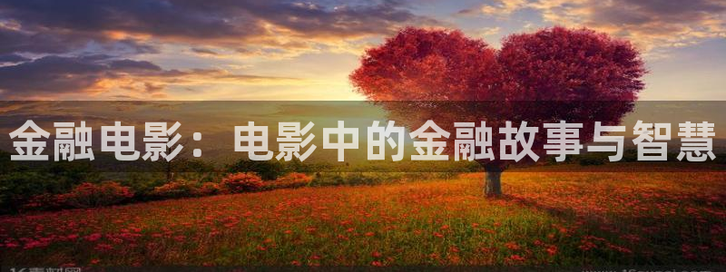 茄子视频无限看丝瓜视频丝瓜视免费观看：金融电影：电影中的金融故事与智慧
