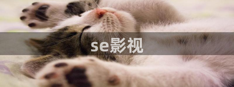 樱桃茄子视频：se影视