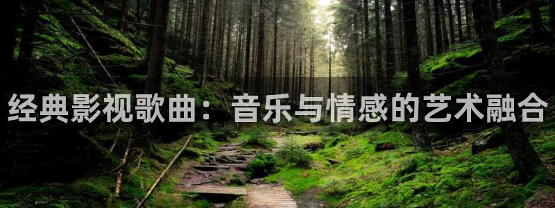 茄子视频 magnet：经典影视歌曲：音乐与情感的艺术融合